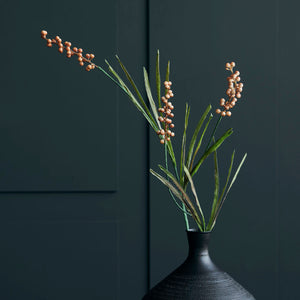 Buckthorn, Oranje
