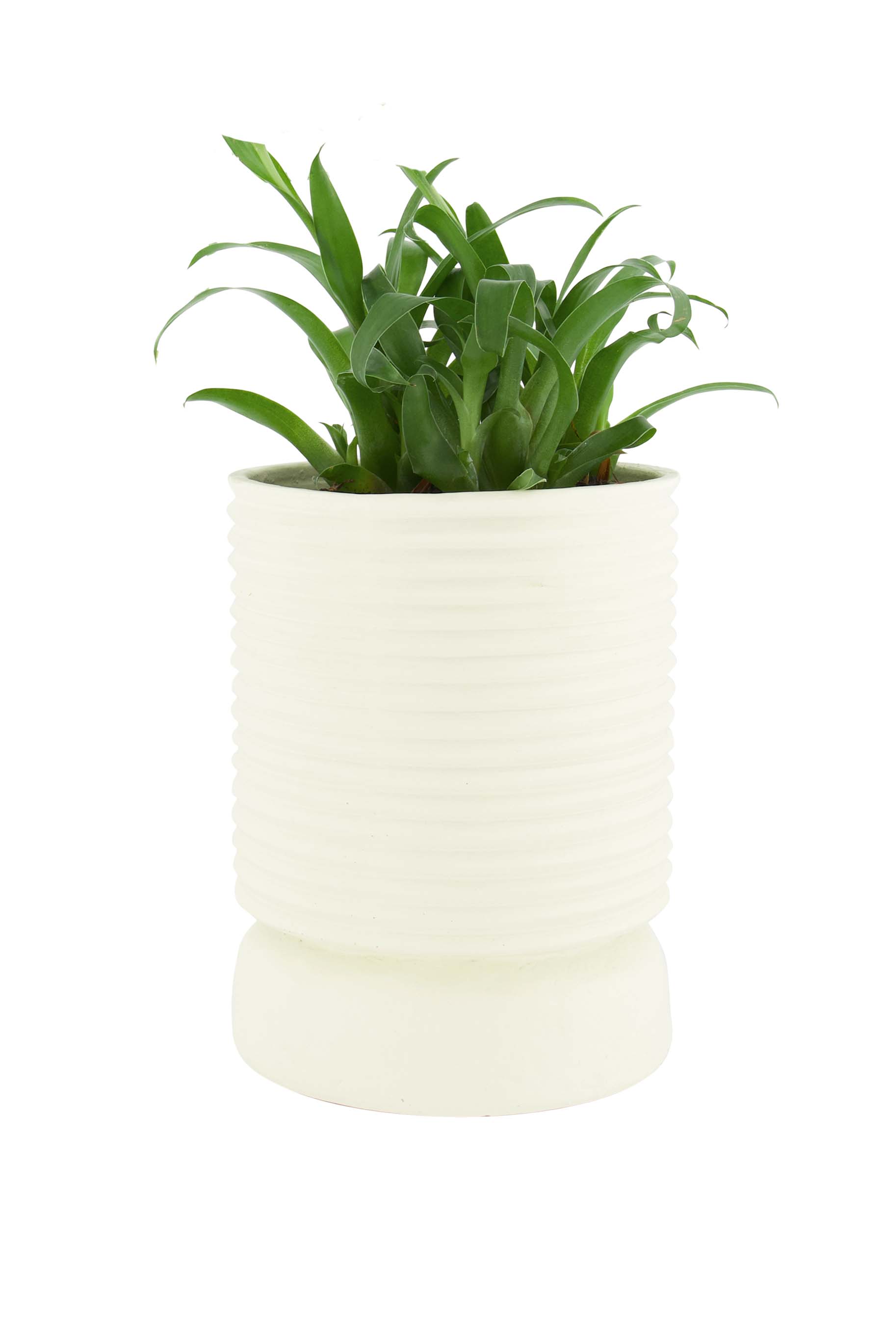polystone pot met ribbels off white