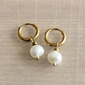 Steel Creoles With Freshwater Pearl Drop - Gold